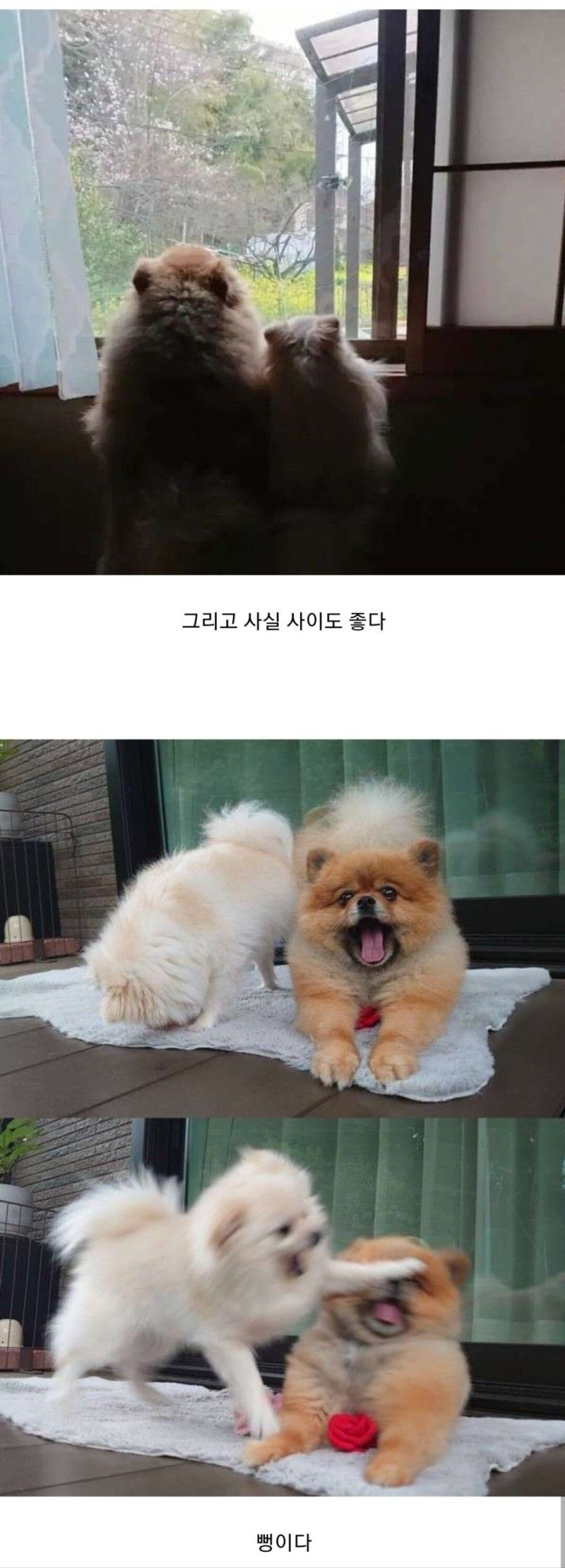 그냥 오이를 찍었을 뿐인데 | 인스티즈