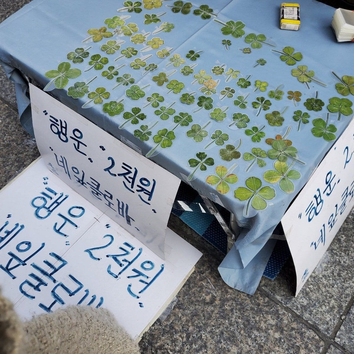 수유역 앞에 가끔 나타난다는 네잎클로버 노점.jpg | 인스티즈