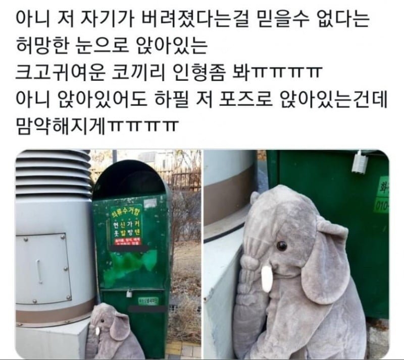 왠지 불쌍해 보이는 코끼리 인형 | 인스티즈