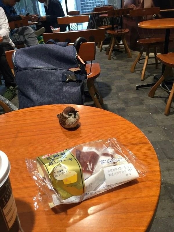 잘 모르는 분이 갑자기 합석을 하셔서 | 인스티즈