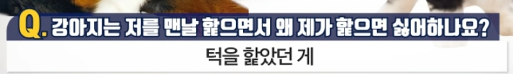 강아지는 저를 맨날 핥으면서 왜 제가 핥으면 싫어하나요? | 인스티즈