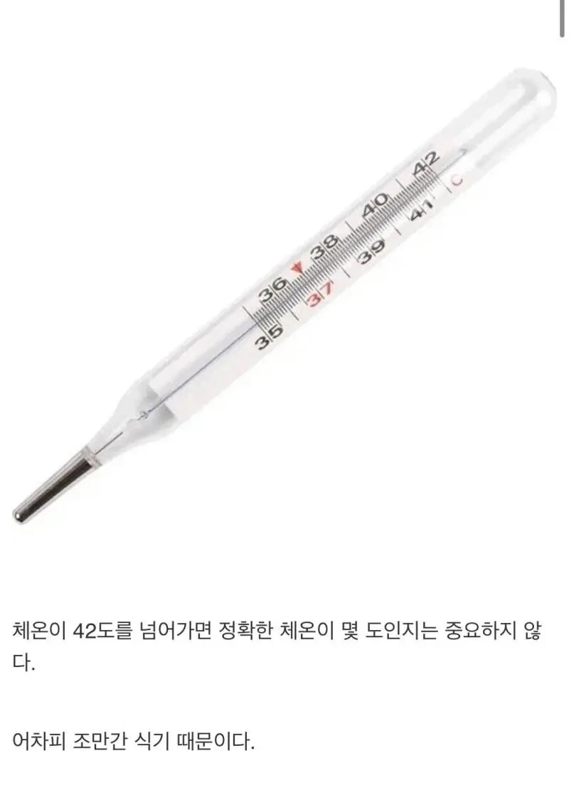 체온계가 42도밖에 못 재는 이유 | 인스티즈