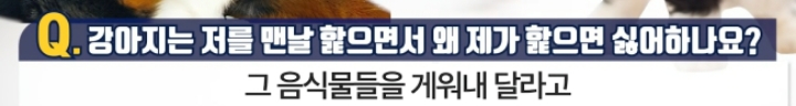 강아지는 저를 맨날 핥으면서 왜 제가 핥으면 싫어하나요? | 인스티즈