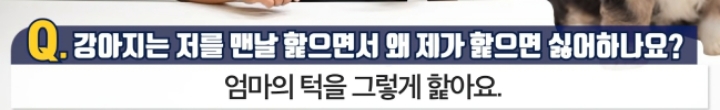 강아지는 저를 맨날 핥으면서 왜 제가 핥으면 싫어하나요? | 인스티즈