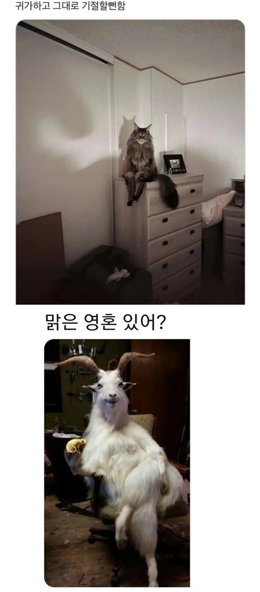 집에 돌아오니 무섭다 | 인스티즈