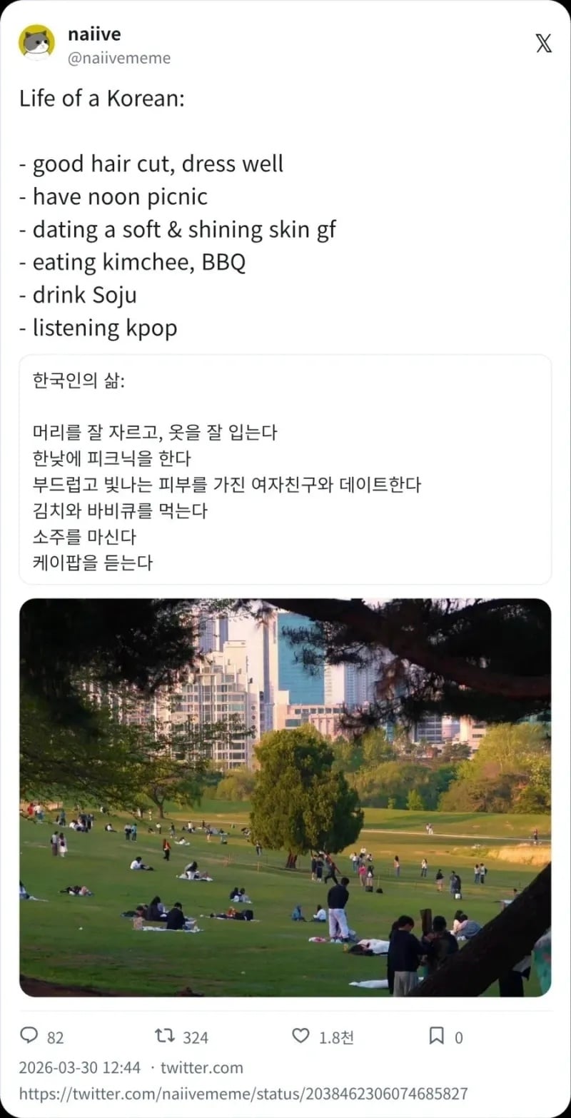 외국인이 바라본 한국인의 삶 | 인스티즈