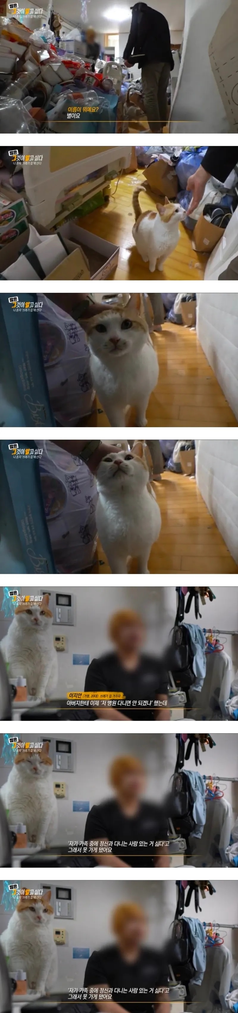 그알 쓰레기집에 처음 방문한 제작진이 신기한 고양이 | 인스티즈