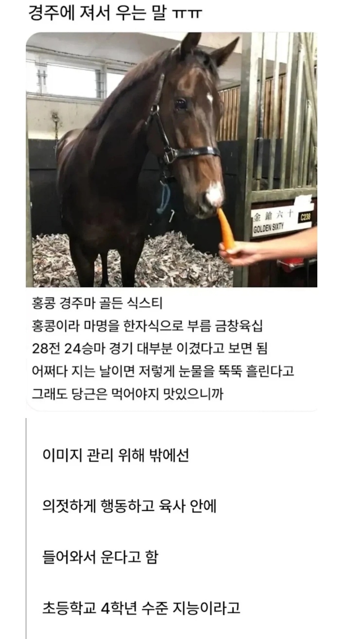 경주에 져서 우는 말 | 인스티즈