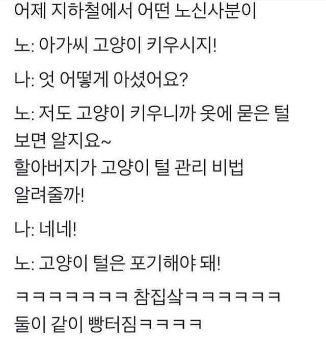고양이 털 관리 비법 알려주시는 할아버지 | 인스티즈