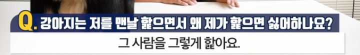 강아지는 저를 맨날 핥으면서 왜 제가 핥으면 싫어하나요? | 인스티즈