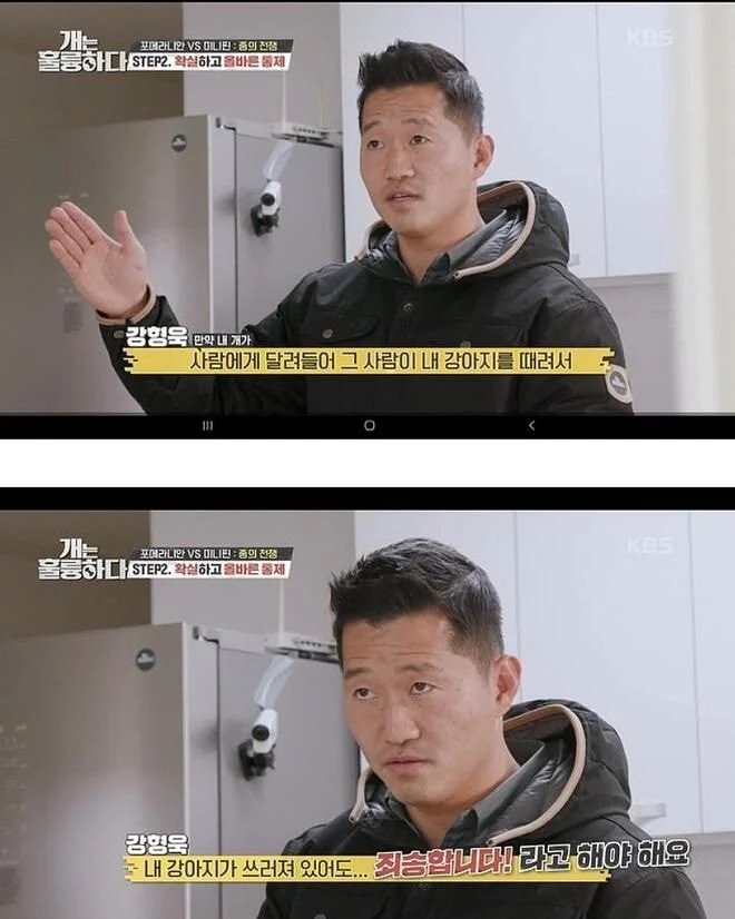 "저희 개가 사람에게 달려들었는데 그 사람이 저희 개를 때렸어요.." 에 대한 강형욱의 대답.jpg | 인스티즈