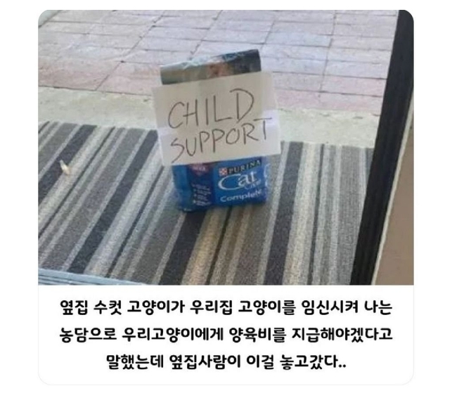 옆집에서 보내준 양육비 | 인스티즈