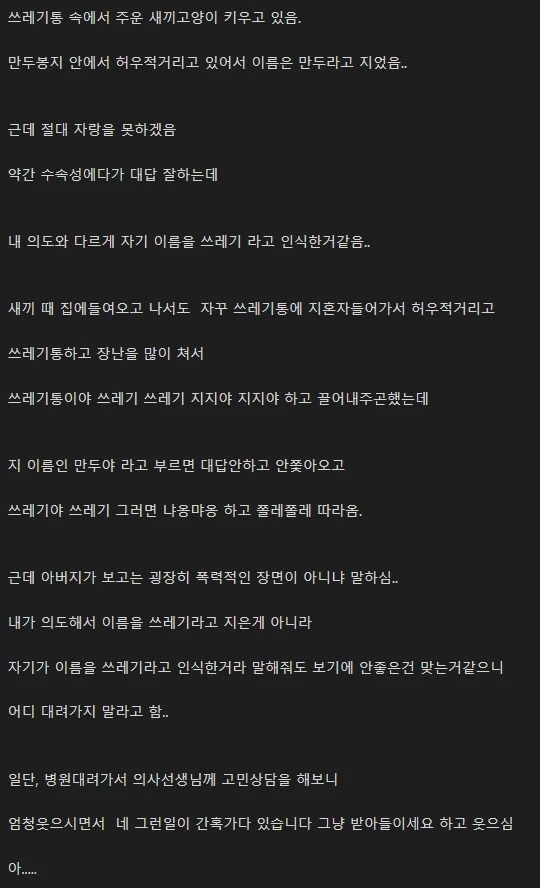 고양이 이름이 쓰레기가 됐다 | 인스티즈
