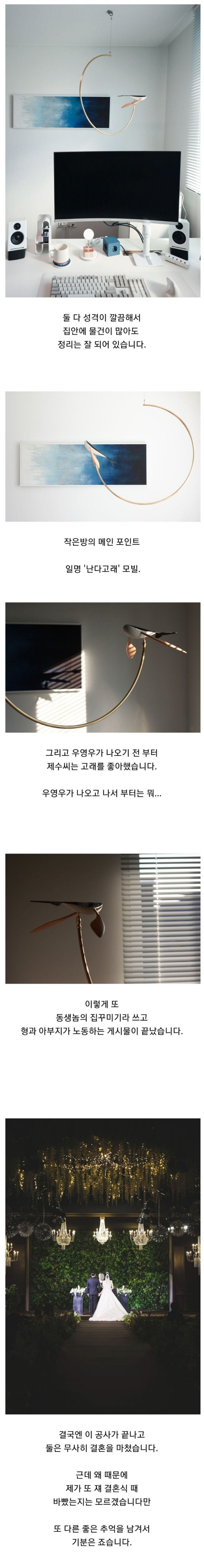 동생 14평 빌라 리모델링 해주기 | 인스티즈