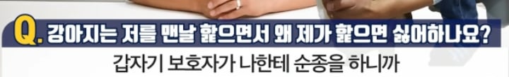 강아지는 저를 맨날 핥으면서 왜 제가 핥으면 싫어하나요? | 인스티즈