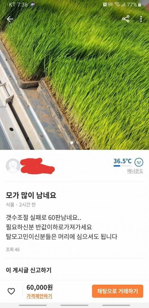 선을 뿌셔버린 당근 판매자 | 인스티즈
