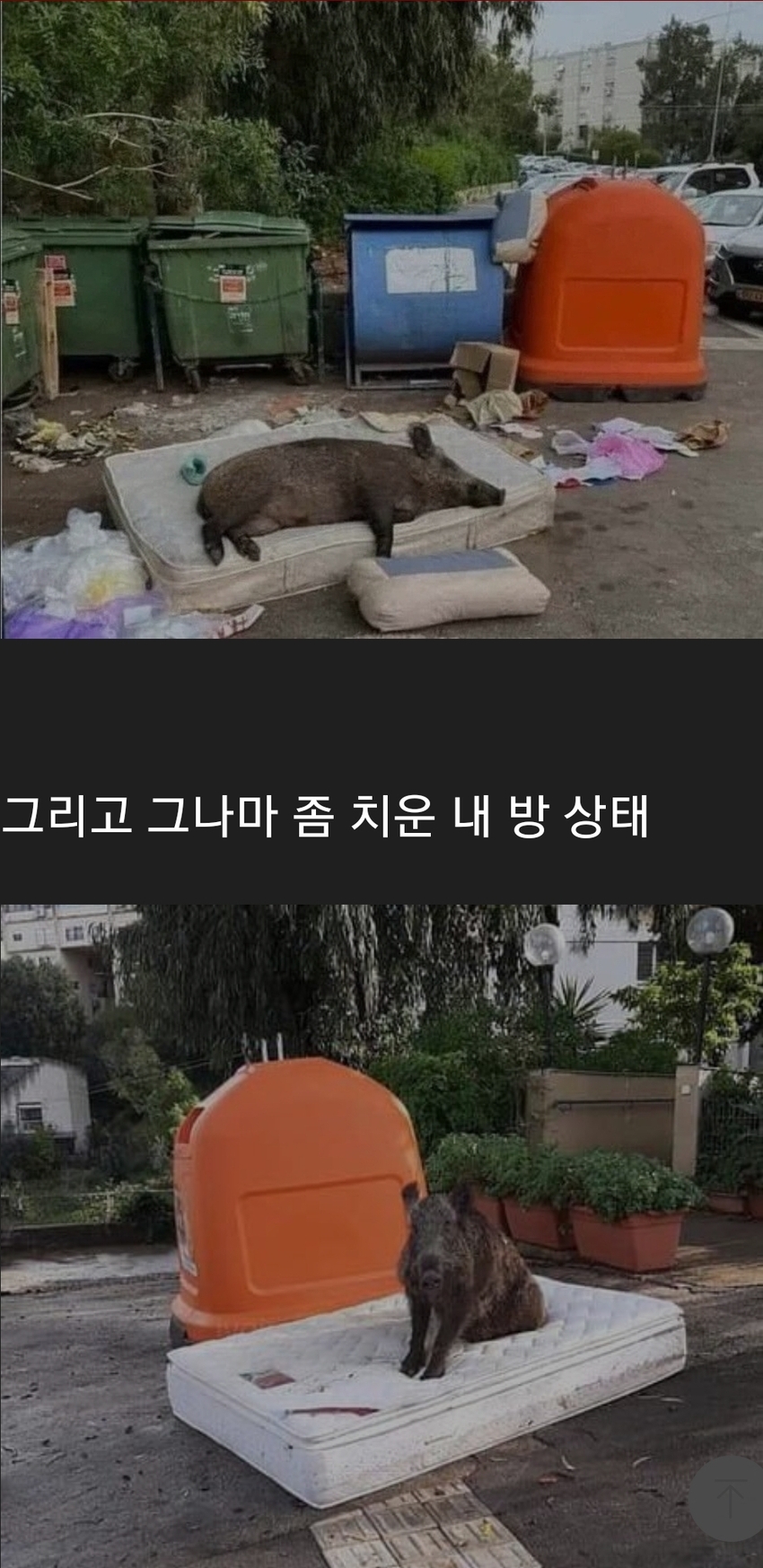 엄마가 보는 내 방 상태 | 인스티즈