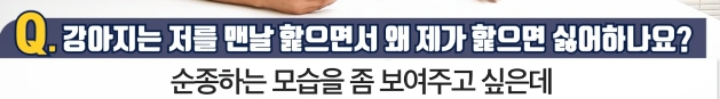 강아지는 저를 맨날 핥으면서 왜 제가 핥으면 싫어하나요? | 인스티즈