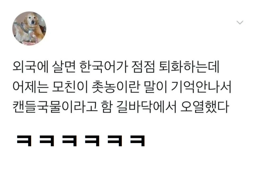 퇴화된 한국어 | 인스티즈