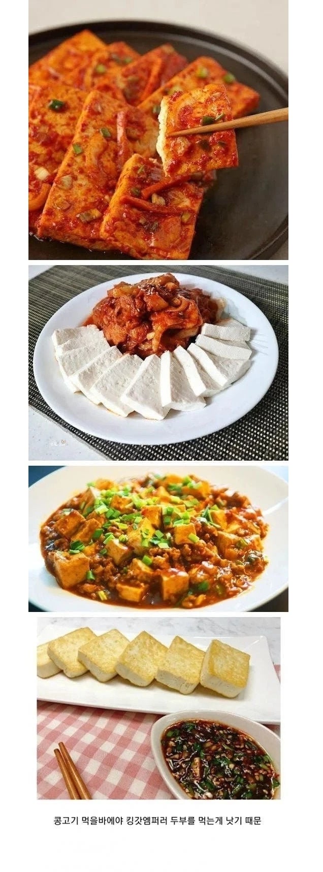 한국에서 콩고기가 필요없는 이유 | 인스티즈