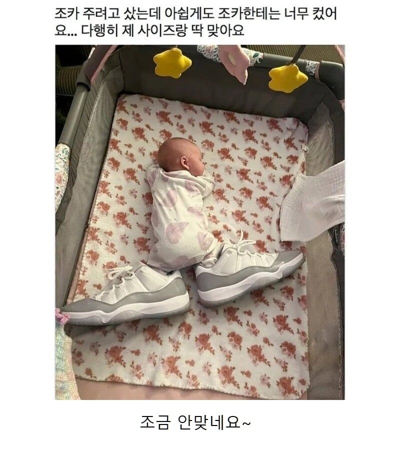 조카 주려고 신발 산 사람 | 인스티즈