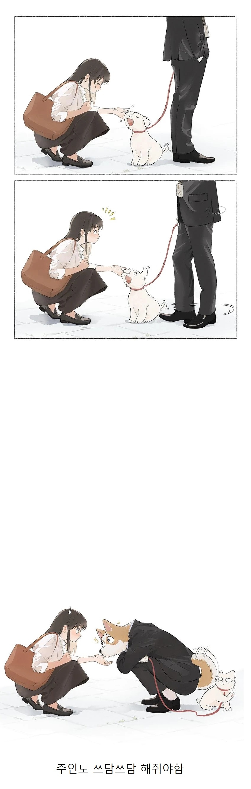 주인 허락없이 댕댕이 함부로 쓰다듬으면 안되는 이유 | 인스티즈