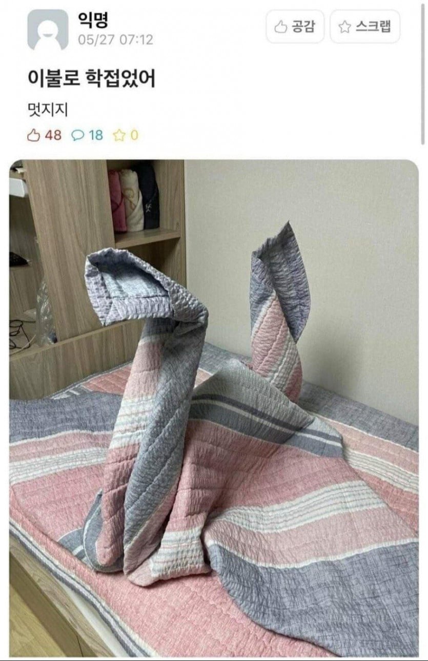 이불로 학 접었어 | 인스티즈