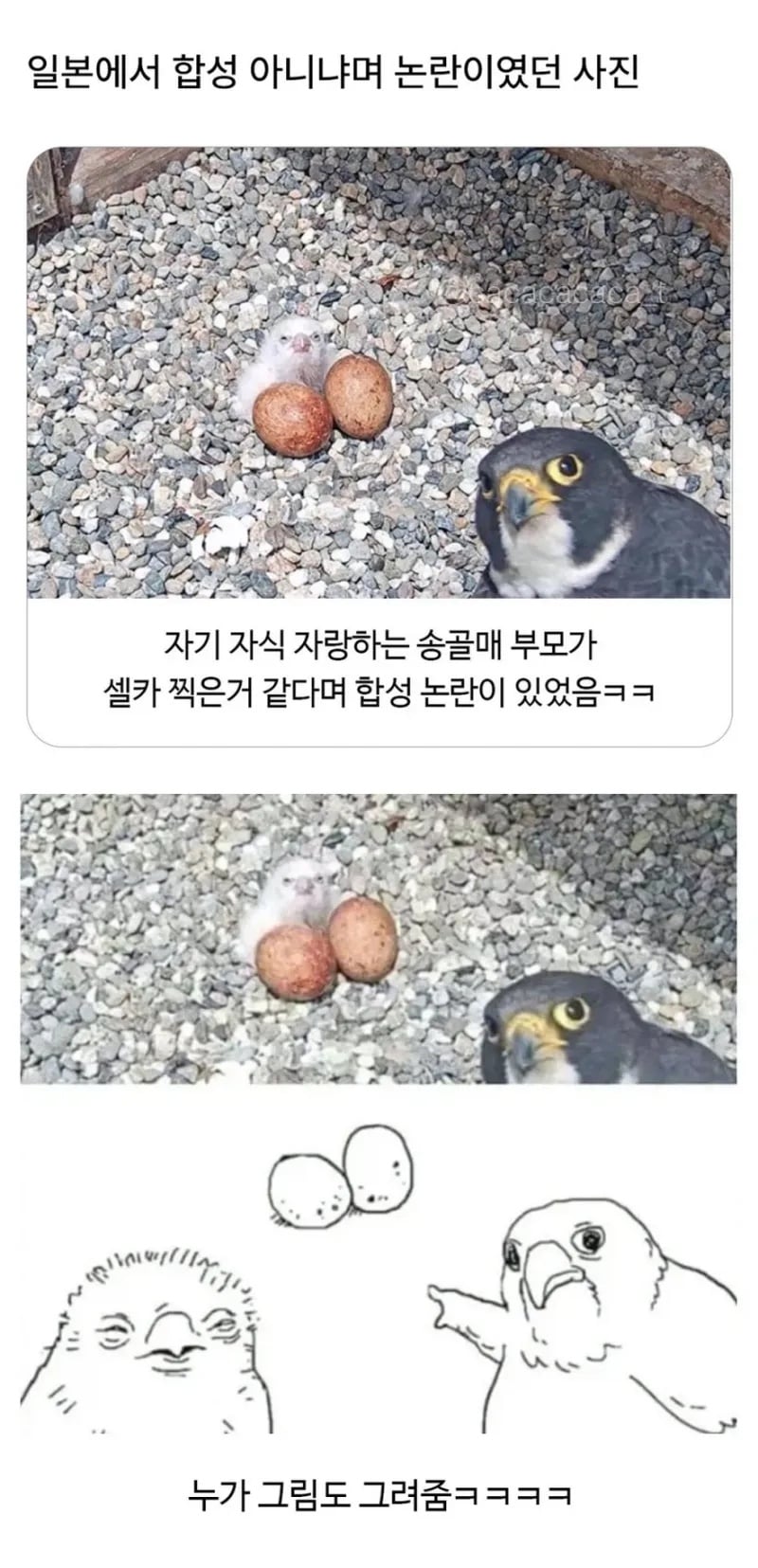 일본에서 합성 아니냐며 논란이 된 사진 | 인스티즈