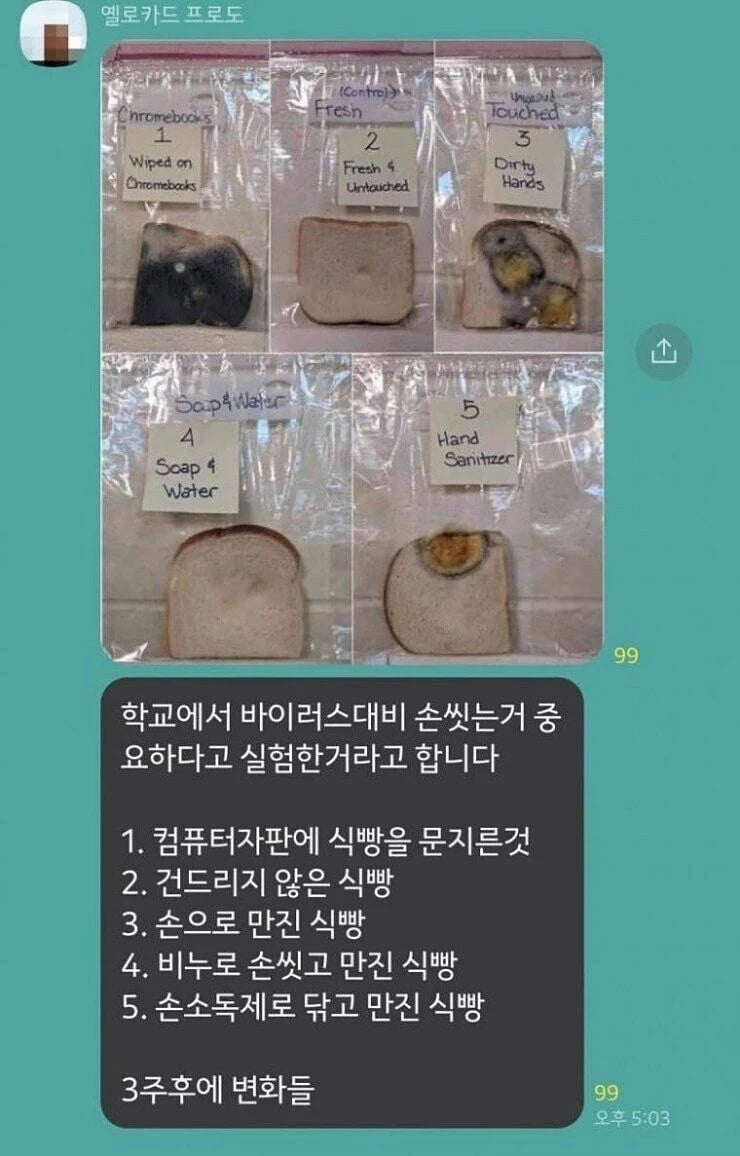 손씻기의 중요성 | 인스티즈