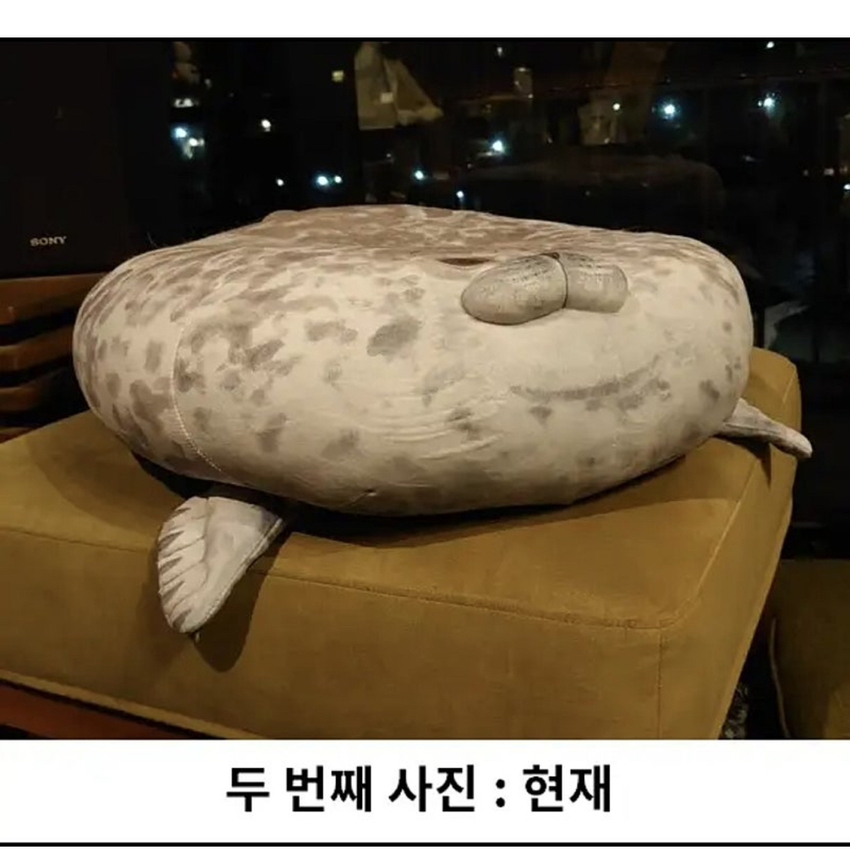 수족관에서 구입한 인형 | 인스티즈