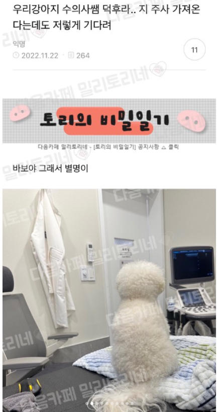 우리 강아지 수의사 선생님 덕후라 자기 주사 가져온다는데도 저렇게 기다려 | 인스티즈