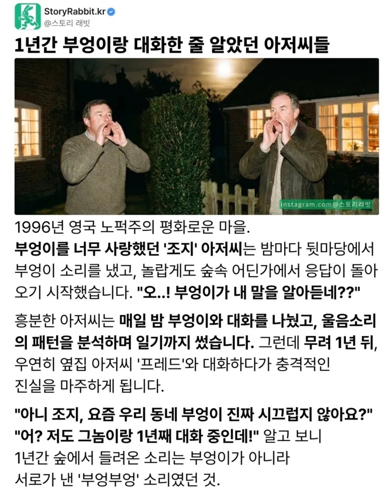 부엉인줄 알았던 아저씨 | 인스티즈