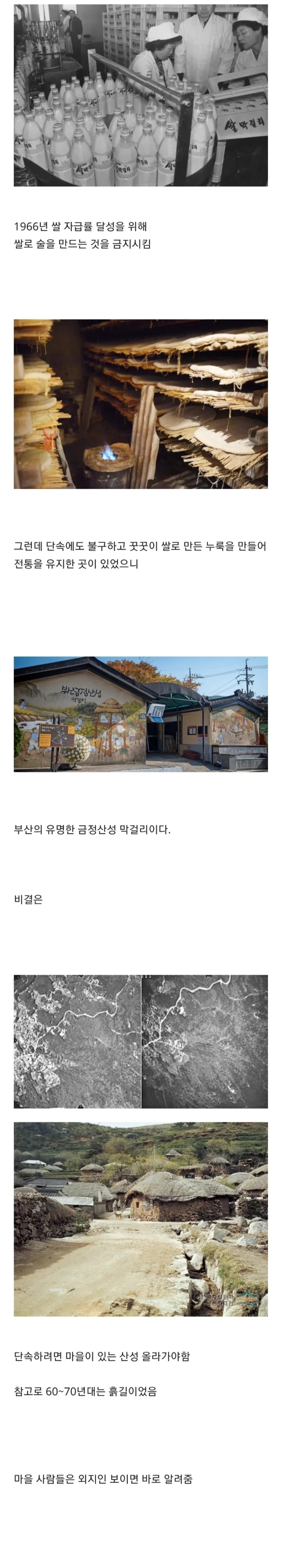 쌀 막걸리가 불법이던 시절 양조장의 생존법 | 인스티즈