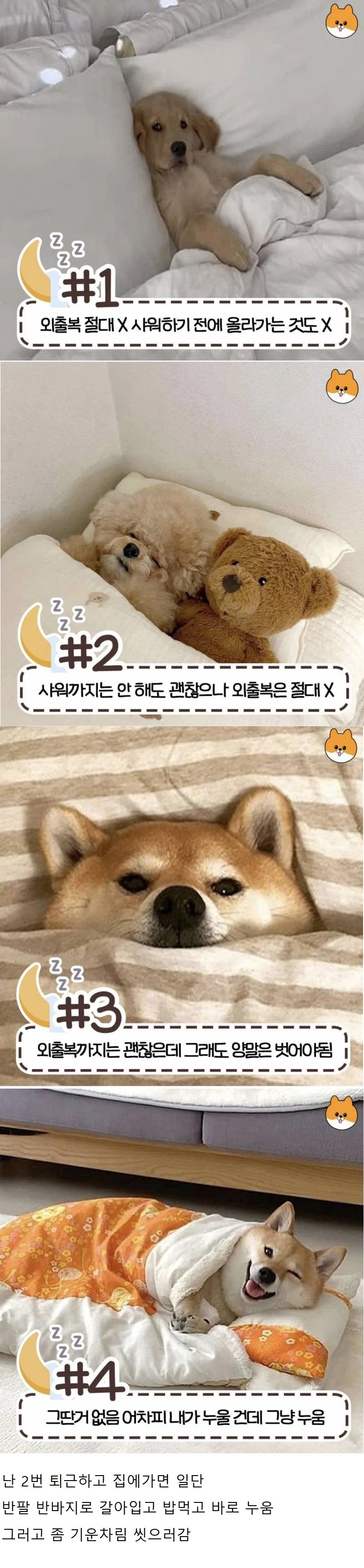 반응 갈리는 침대 허용 범위 | 인스티즈