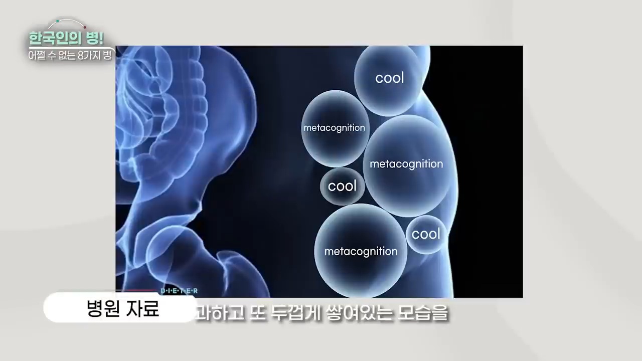 한국인 병 8가지 (강유미 유튜브) | 인스티즈