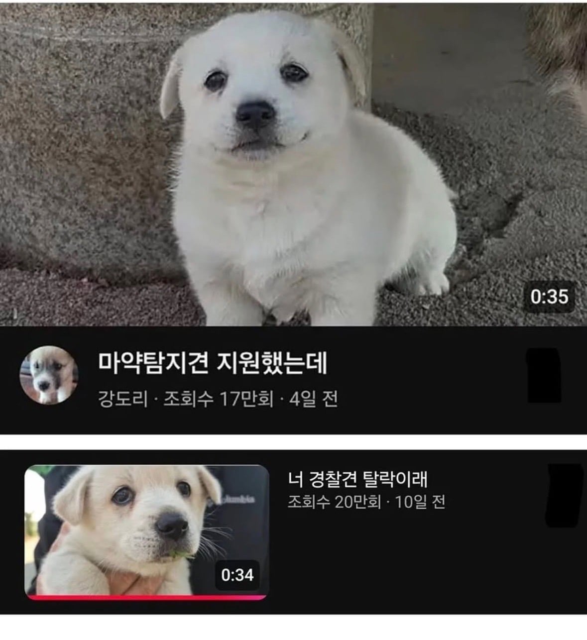 입사지원 탈락했다는 멈무.jpg | 인스티즈