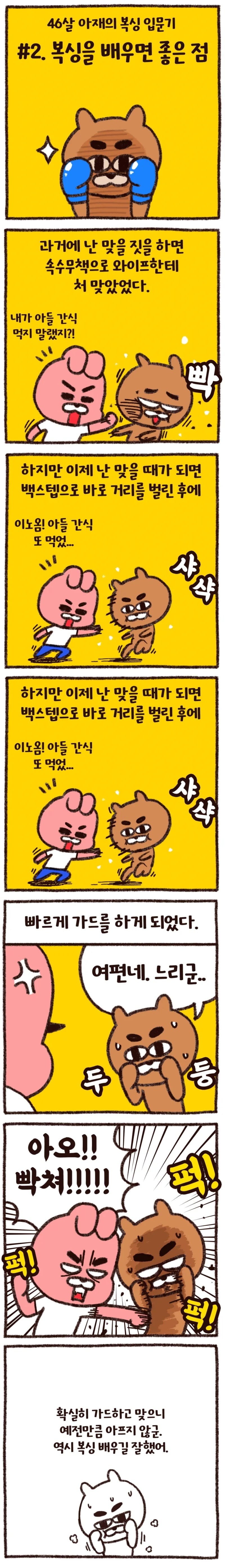 46살 아재가 복싱 입문하고 느낀 복싱 배우면 좋은 점 | 인스티즈