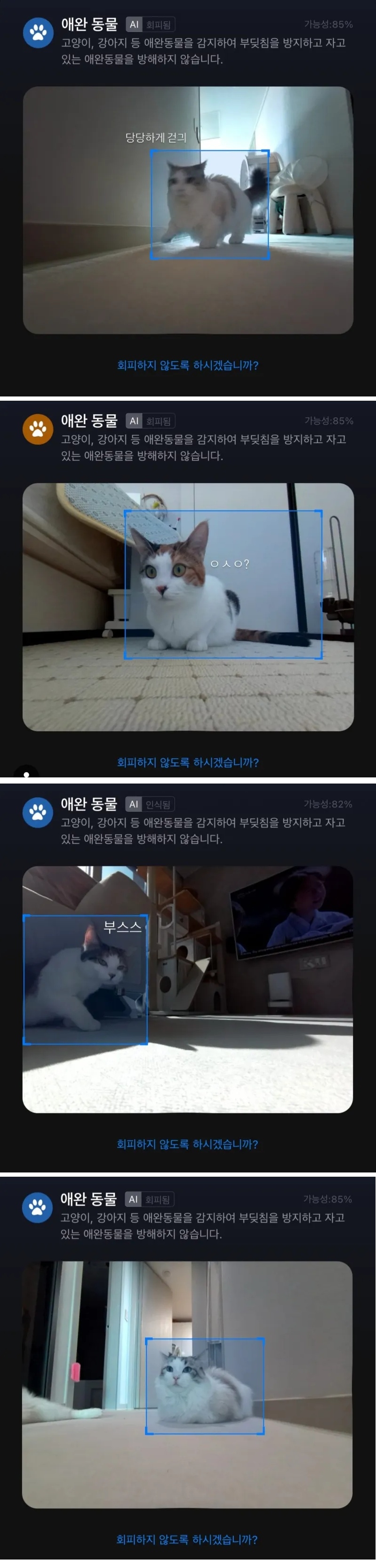 로봇청소기가 인식한 고양이 | 인스티즈