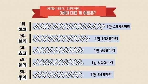 3세대 대표 멍뭉이 이름은 | 인스티즈
