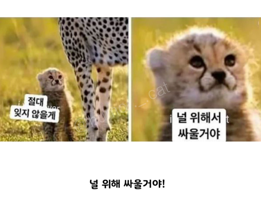 INFP가 따뜻한 ENFP를 만났을 때 | 인스티즈