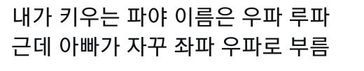 내가 키우는 파 | 인스티즈
