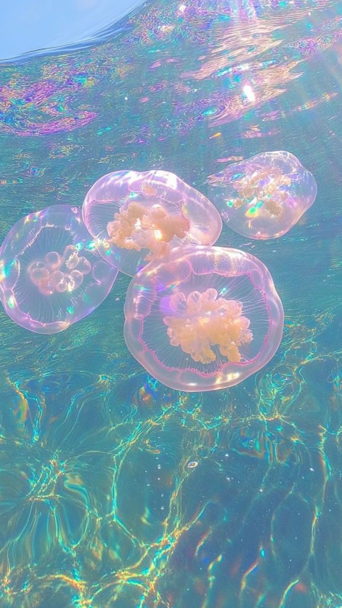 [책 속 문장 6] 슬픔이 유별나도 되는 곳으로 가고 싶다 | 인스티즈