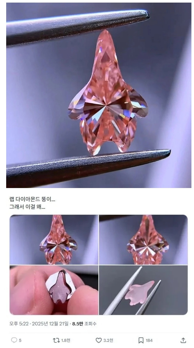세상에서 가장 비싼 뚱이 | 인스티즈