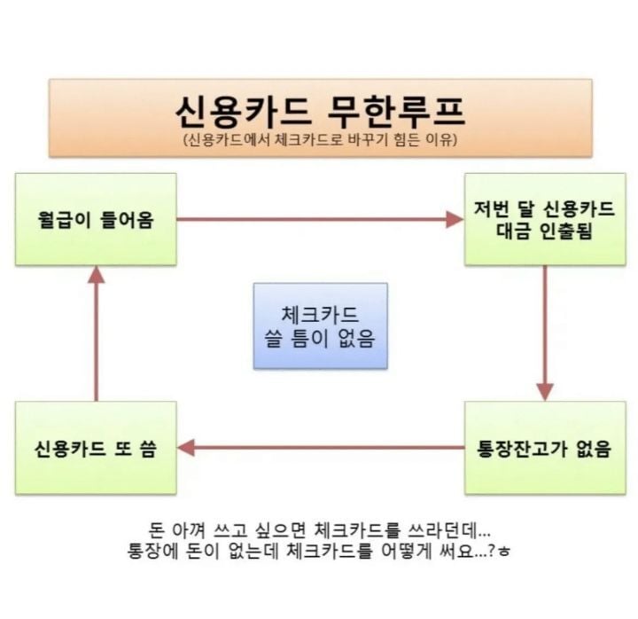 신용카드 무한루프에 빠지면 망함 | 인스티즈