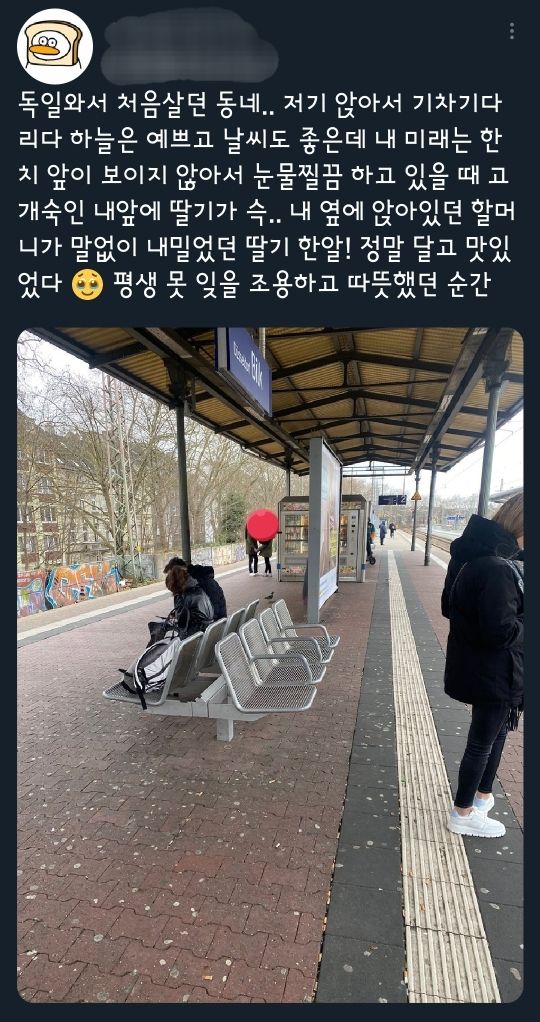 내 평생 못 잊을 딸기 한 알 | 인스티즈