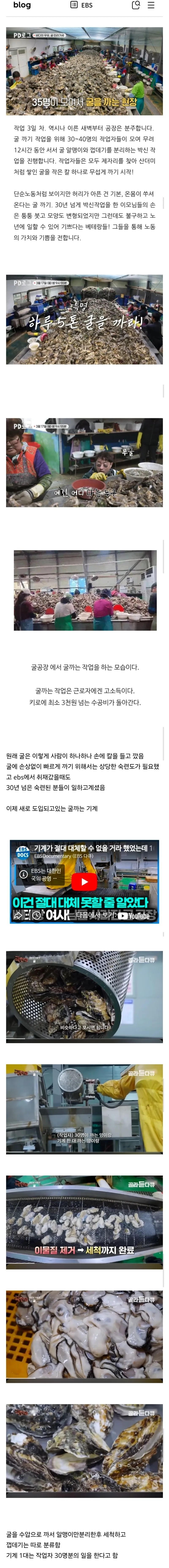 기계가 도입되고있는 굴 공장 근황 | 인스티즈