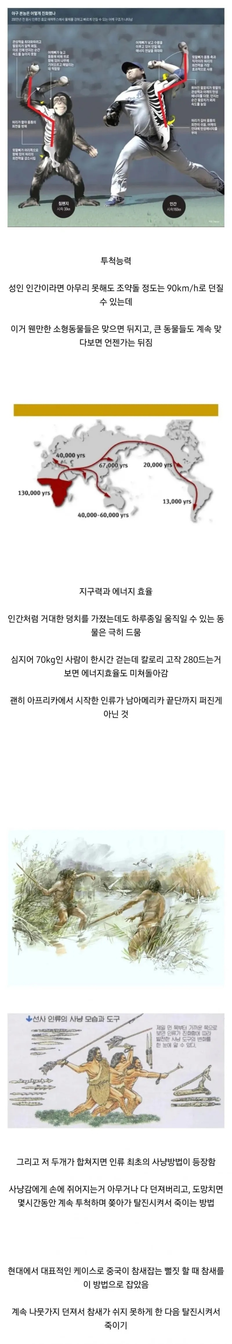 인간의 신체가 가진 강점 | 인스티즈