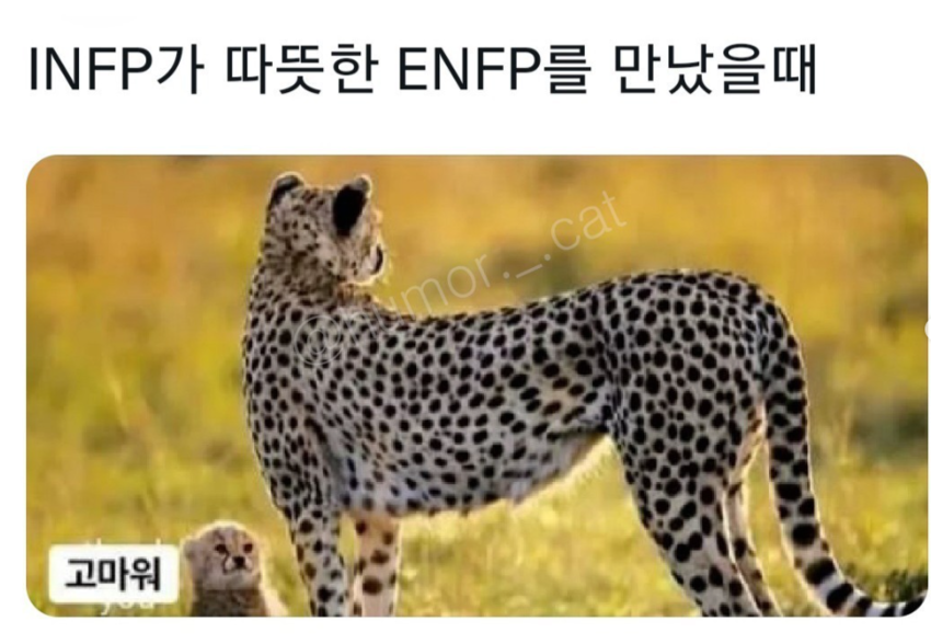INFP가 따뜻한 ENFP를 만났을 때 | 인스티즈