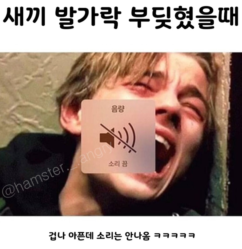 새끼 발가락 부딪혔을 때 공감 | 인스티즈