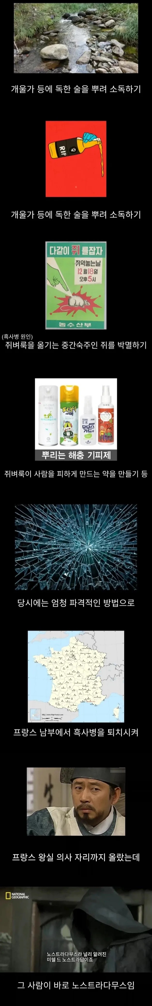 프랑스에서 흑사병을 퇴치한 전설의 의사 | 인스티즈